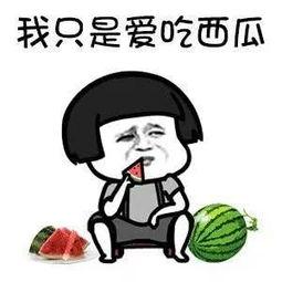 娱乐吃瓜小记,吃瓜小记带你探秘明星幕后故事